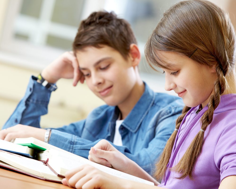 Portrait of teenage girl reading book with her classmate at background